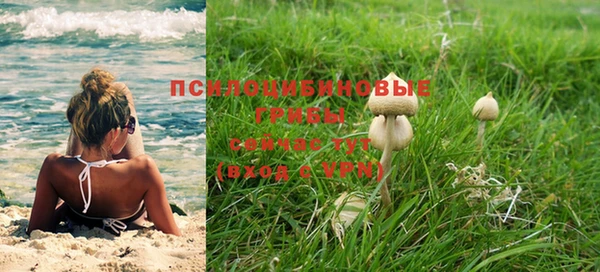 индика Иннополис