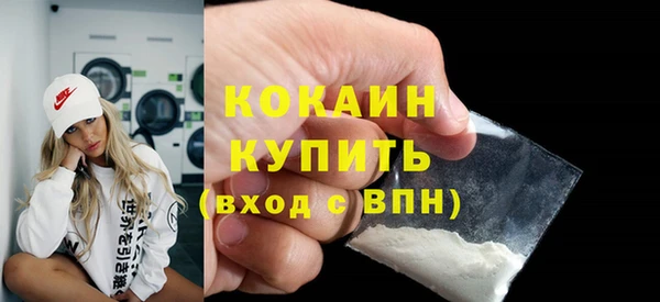 индика Иннополис