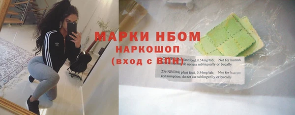 индика Иннополис