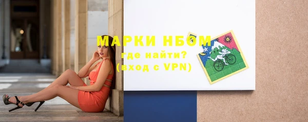 индика Иннополис