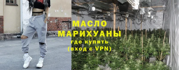 индика Иннополис