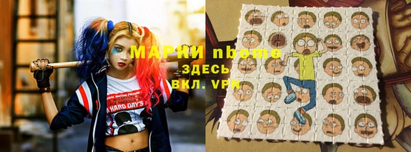 индика Иннополис