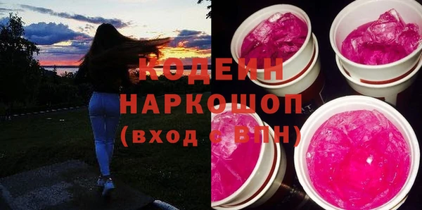 индика Иннополис
