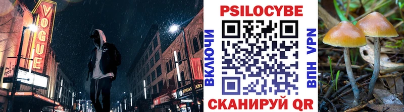 Псилоцибиновые грибы мицелий  Димитровград 