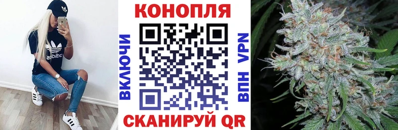 МАРИХУАНА план  площадка официальный сайт  Димитровград 